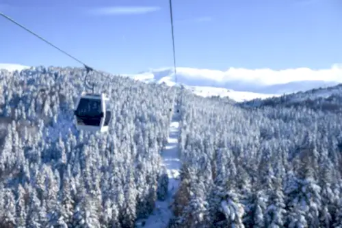 Transportation,Via,Cable,Car,Among,Snow,Covered,Tree,On,A Transportation,Via,Cable,Car,Among,Snow,Covered,Tree,On,A